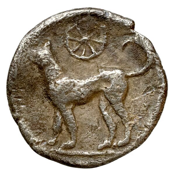 reverse Segesta Hurter 2008 K15-K22