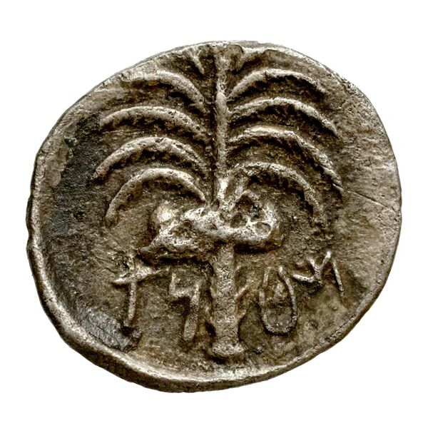 Motya Campana 1999 group VI serie I 15, реверс, bnf-iris