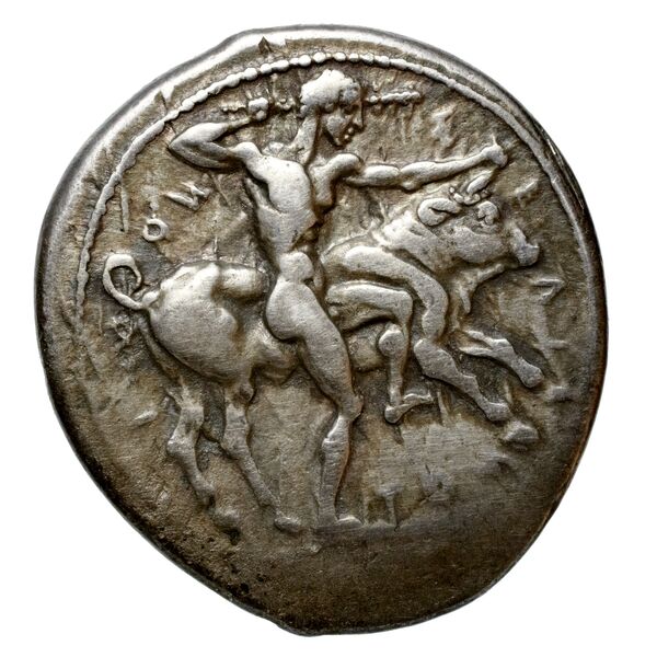 Selinus SNG ANS 701-710, аверс, bnf-iris