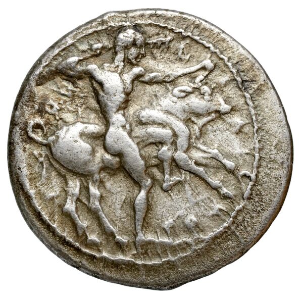 Selinus SNG ANS 701-710, аверс, bnf-iris