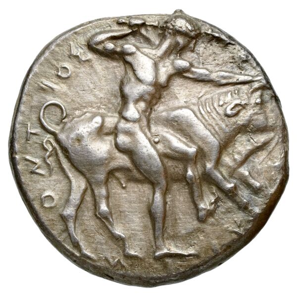 Selinus SNG ANS 701-710, аверс, bnf-iris