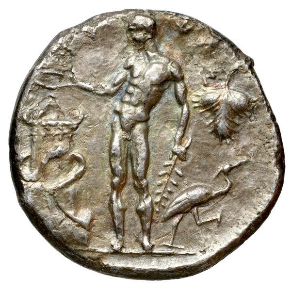 Selinus SNG ANS 701-710, реверс, bnf-iris