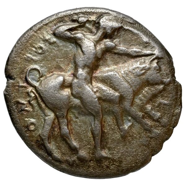 Selinus SNG ANS 701-710, аверс, bnf-iris