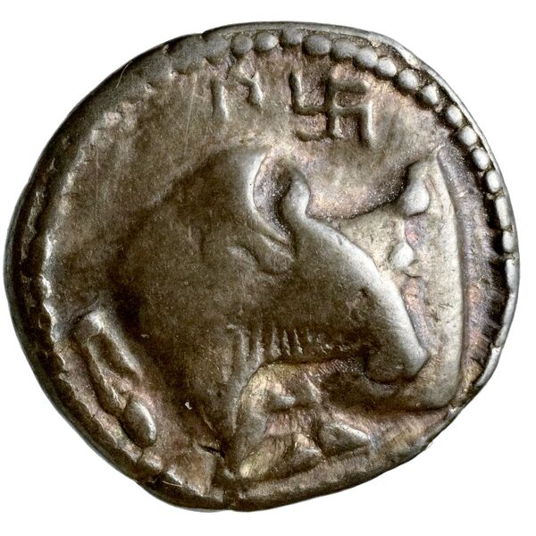 Acanthus Tselekas 1996 Period D-F, T15-62, аверс, bnf-iris