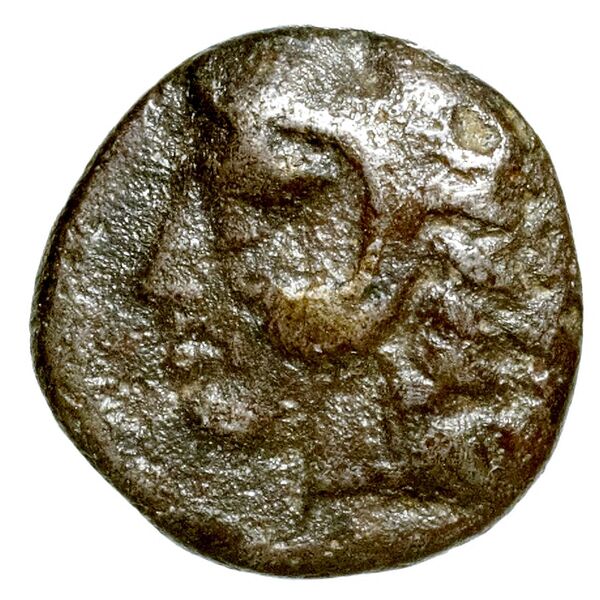 Cleonae BMC Cleonae 1-5, аверс, bnf-iris