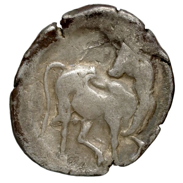 Gortyn Carbone 2016 59-103, 113-117, реверс, bnf-iris