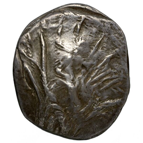 Gortyn Carbone 2016 59-103, 113-117, аверс, bnf-iris