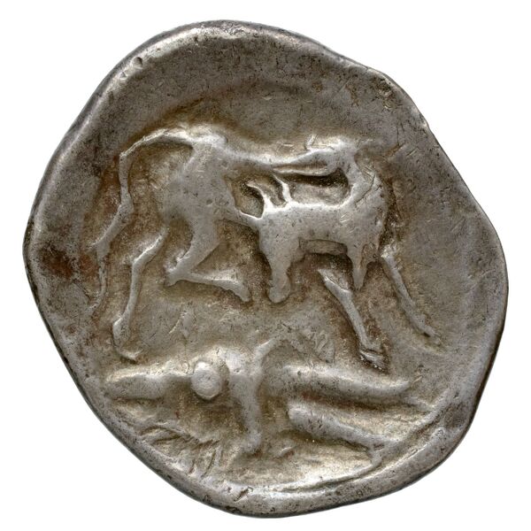 Gortyn Carbone 2016 59-103, 113-117, реверс, bnf-iris