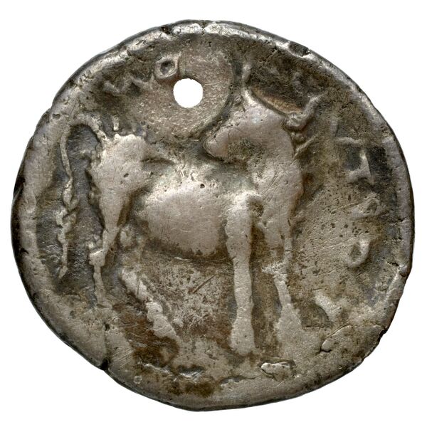 Gortyn Carbone 2016 59-103, 113-117, реверс, bnf-iris