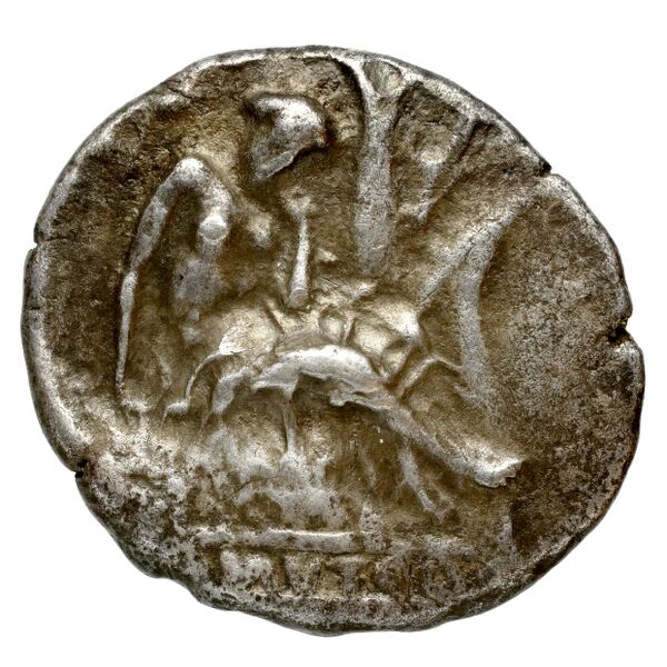 Gortyn Carbone 2016 59-103, 113-117, аверс, bnf-iris
