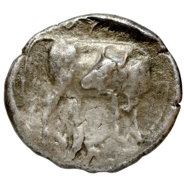 Gortyn Carbone 2016 59-103, 113-117, реверс, bnf-iris
