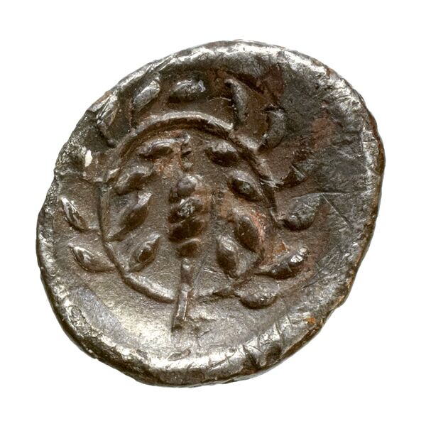 Taras Historia Numorum Italy 857, реверс, bnf-iris