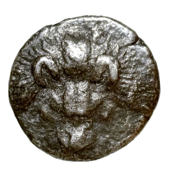 Panticapaeum MacDonald 2005 25-8, аверс, bnf-iris
