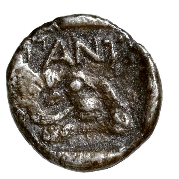 Panticapaeum MacDonald 2005 25-8, реверс, bnf-iris