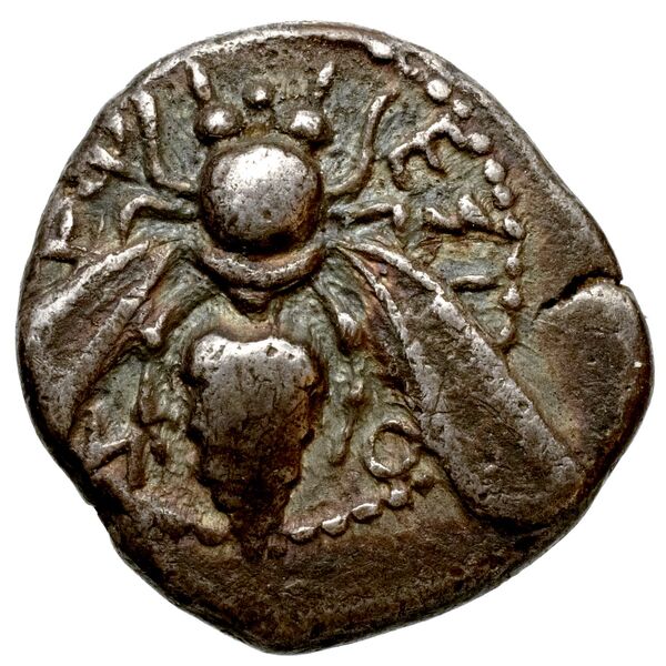 Ephesus Head 1880 Period IIβ, аверс, bnf-iris