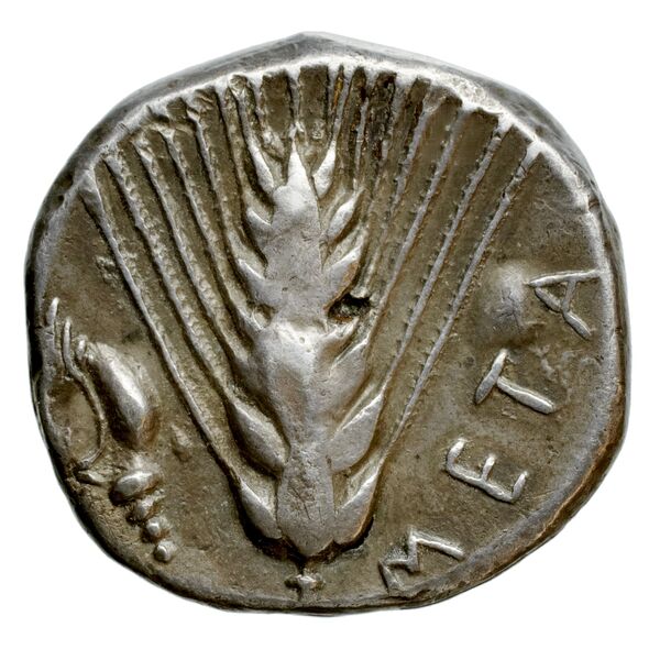 Metapontum Historia Numorum Italy 1535-51, реверс, bnf-iris