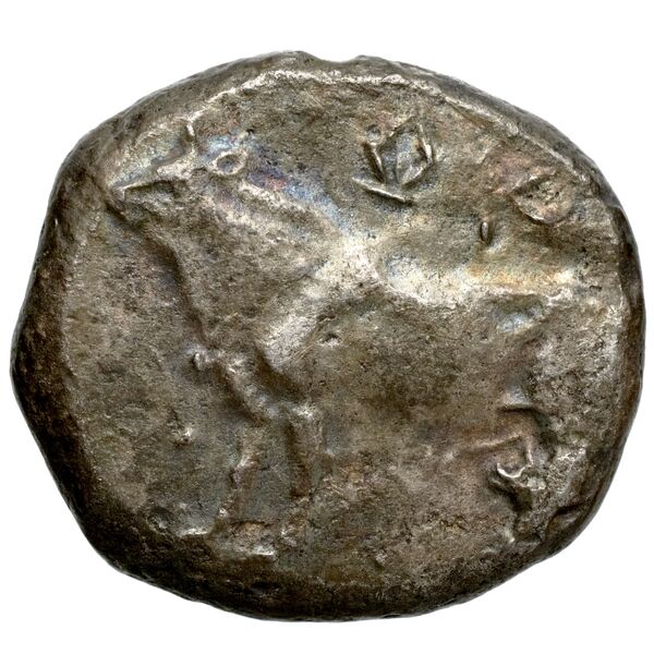 Pny- of Paphos Paphos BMC Paphus 4-13, аверс, bnf-iris