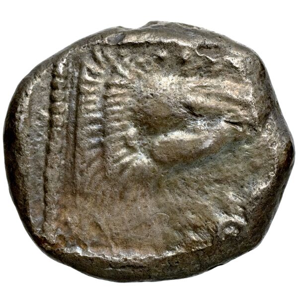Pny- of Paphos Paphos BMC Paphus 4-13, реверс, bnf-iris