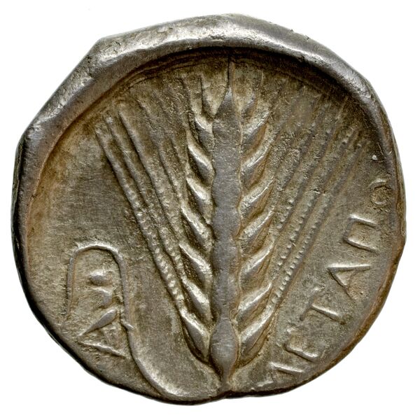 Metapontum Historia Numorum Italy 1535-51, реверс, bnf-iris