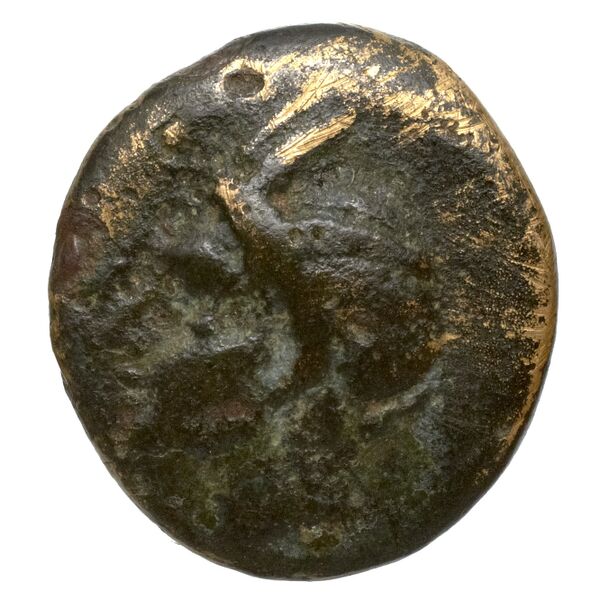 Perikles Lycia Hoff 2017 M244, аверс, bnf-iris