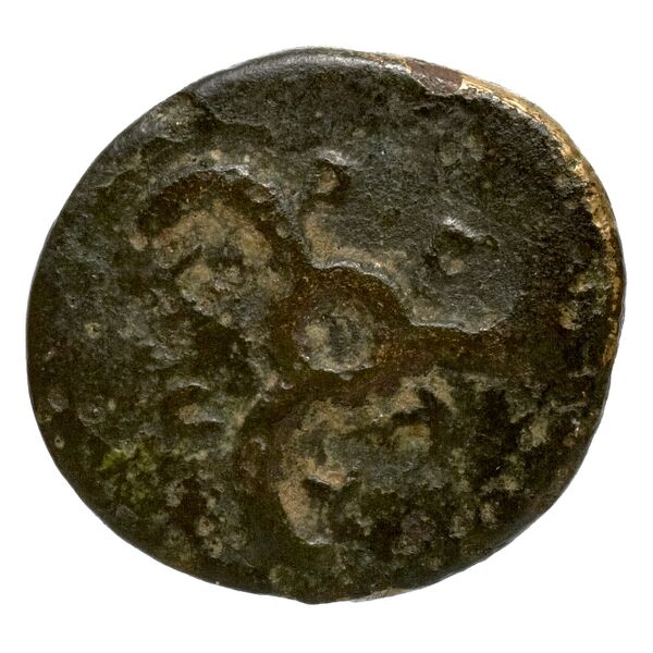 Perikles Lycia Hoff 2017 M244, реверс, bnf-iris