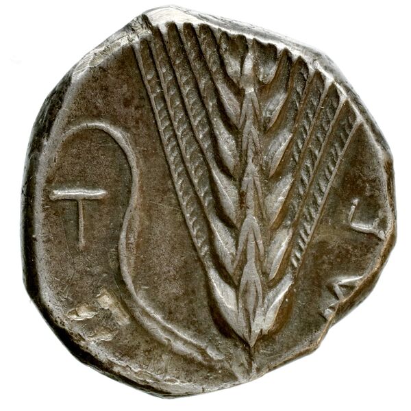 Metapontum Historia Numorum Italy 1515-22, реверс, bnf-iris