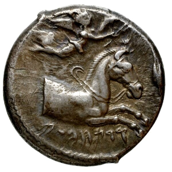 Carthaginian Empire Carthage Jenkins 1974 Carthage series 1, 1-37, аверс, bnf-iris