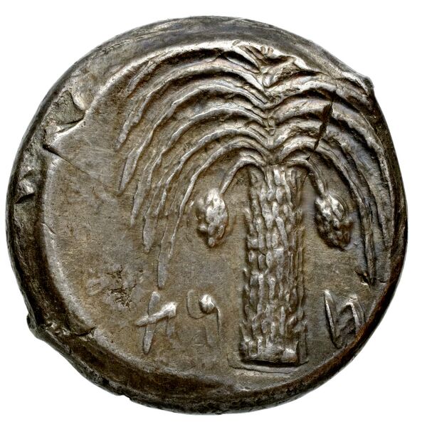 reverse Carthaginian Empire Carthage Jenkins 1974 Carthage series 1, 1-37