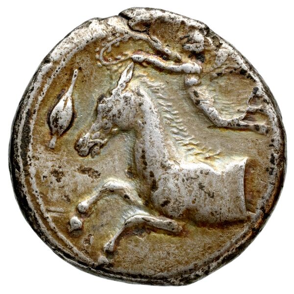 Carthaginian Empire Carthage Jenkins 1974 Carthage series 1, 1-37, аверс, bnf-iris
