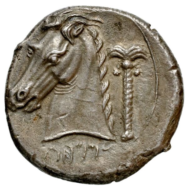 Carthaginian Empire Carthage Jenkins 1977 Carthage series 3, реверс, bnf-iris