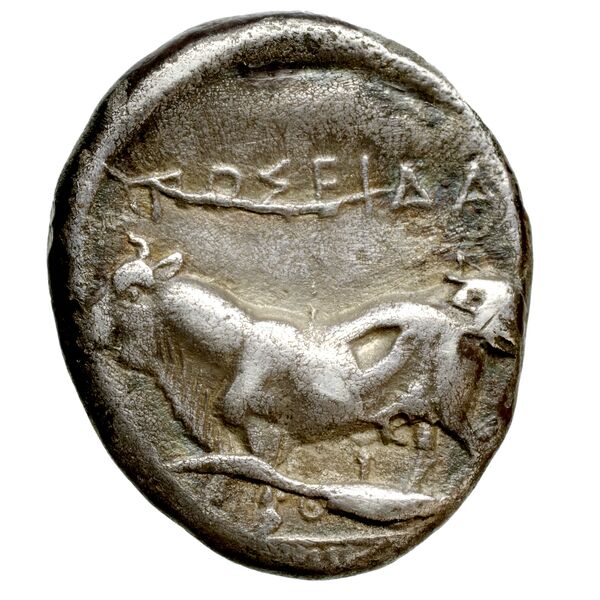 Poseidonia Historia Numorum Italy 1127, реверс, bnf-iris