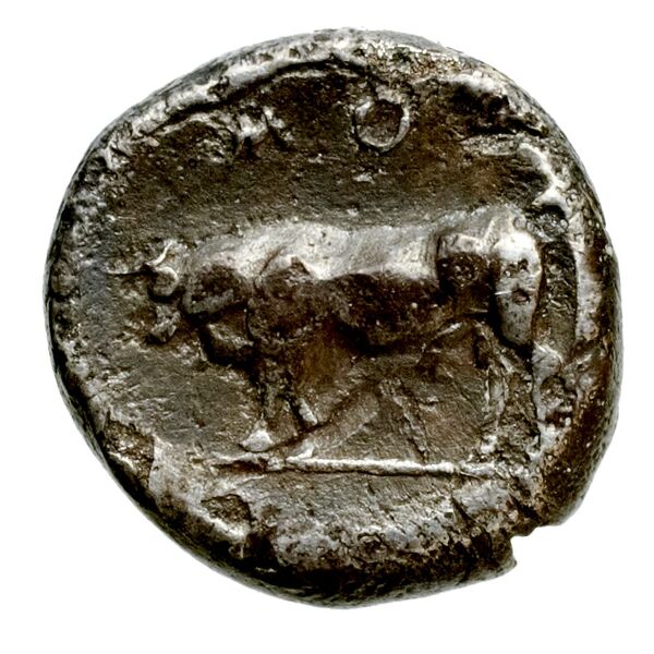 Poseidonia Historia Numorum Italy 1119, реверс, bnf-iris