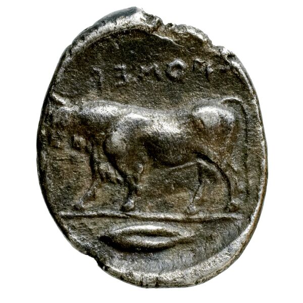 Poseidonia Historia Numorum Italy 1119, реверс, bnf-iris