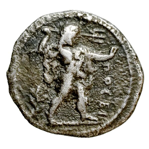 аверс Poseidonia Historia Numorum Italy 1120