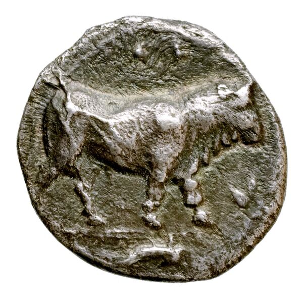 реверс Poseidonia Historia Numorum Italy 1120
