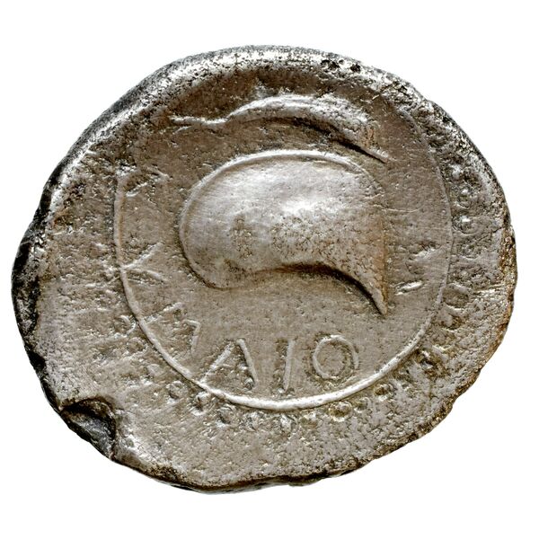 Cumae Historia Numorum Italy 528, реверс, bnf-iris