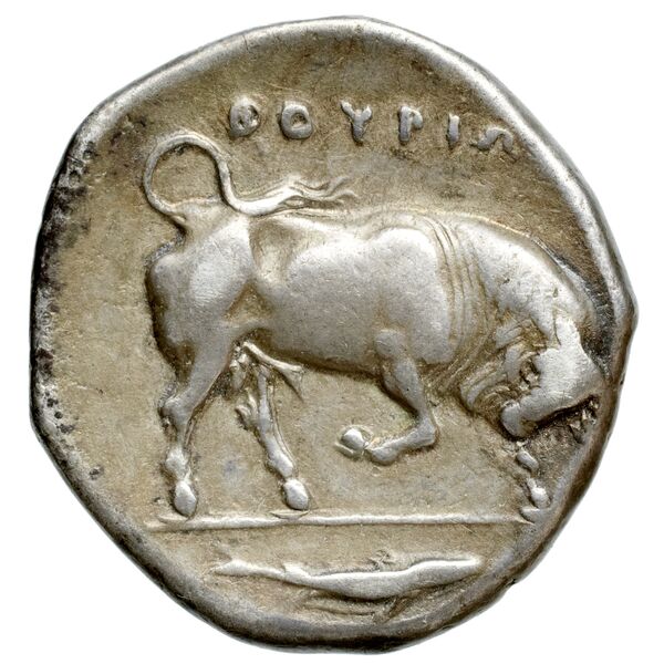 Thurium Historia Numorum Italy 1799-1802, реверс, bnf-iris