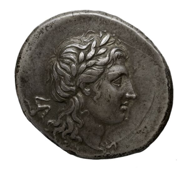 Suessa Aurunca Historia Numorum Italy 447, аверс, bnf-iris