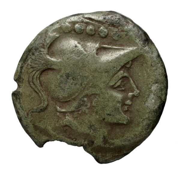Luceria Historia Numorum Italy 678, аверс, bnf-iris