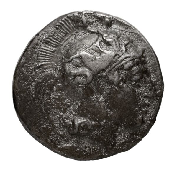 Thurium Historia Numorum Italy 1784-1795, аверс, bnf-iris