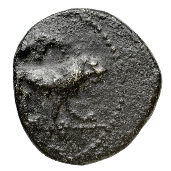 Euagoras II of Salamis Salamis BMC Salamis 69-73, аверс, bnf-iris