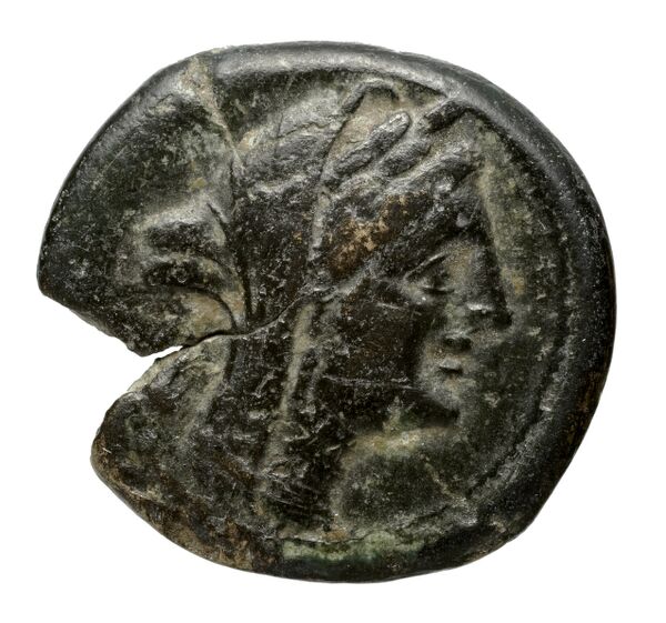 coin obv