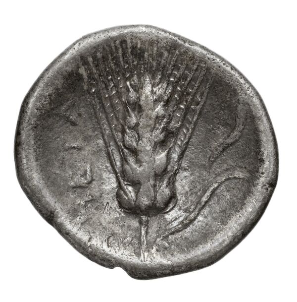 Metapontum Historia Numorum Italy 1596, реверс, bnf-iris