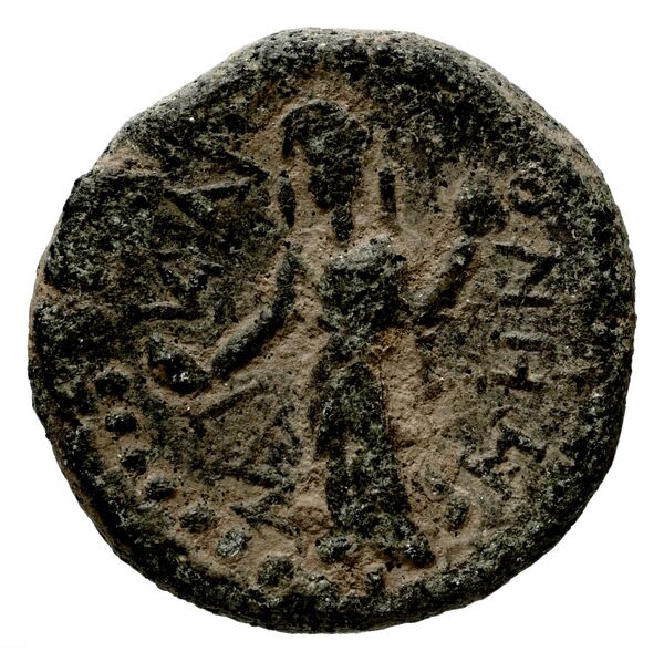 Halicarnassus BMC Halicarnassus 75-80, реверс, bnf-iris