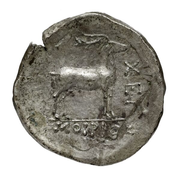 реверс Chersonesus, Tauric Anokhin 2011 807-9