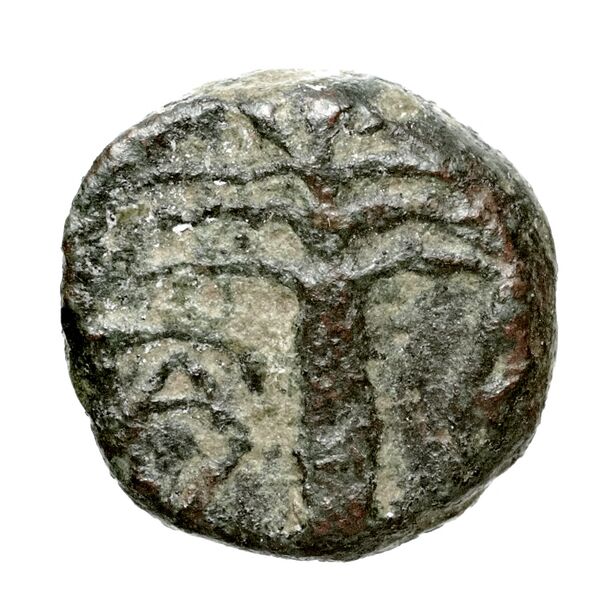 Hierapytna Stefanaki 2020 3e série ; groupes II-III et V ; émissions 6-8, 12, 16-17 (catalogue n° 10-21, 52, 129-143), реверс, bnf-iris