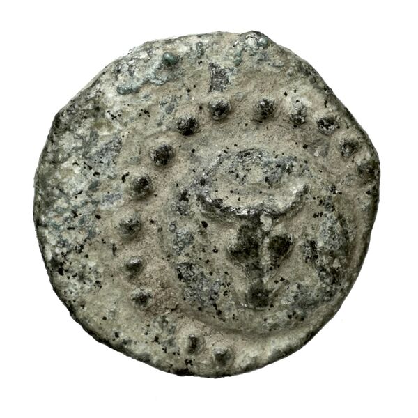 Polyrhenium Stefanakis 2013 58-101, аверс, bnf-iris