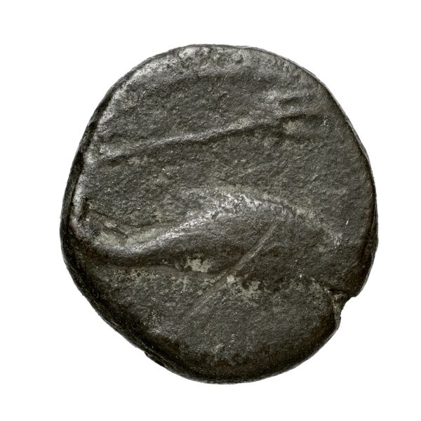 Rhaucus Svoronos 1890 (1972) 5, 36-37, реверс, bnf-iris