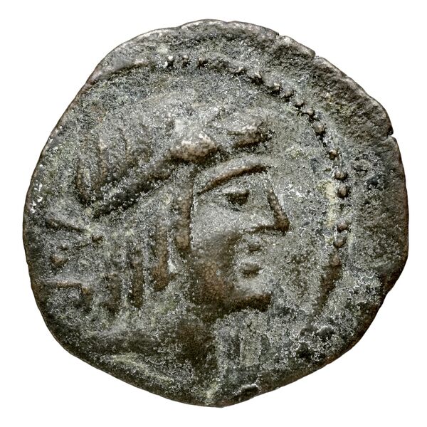 Seleuceia ad Calycadnum SNG Levante 690-8, аверс, bnf-iris