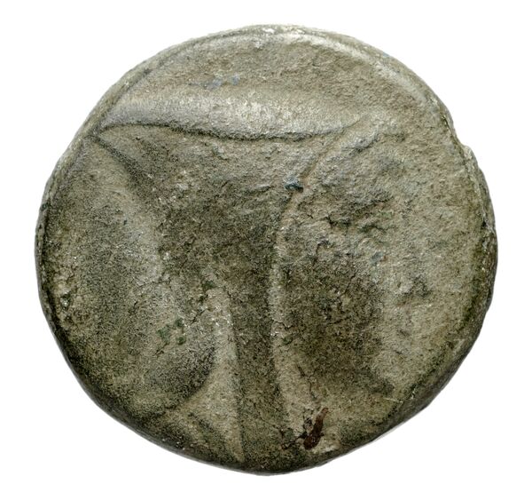 Tabae Robert 1954 V, obverse, bnf-iris